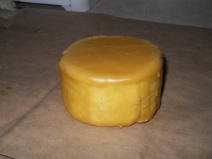 Little Cheese #2 on waxing day