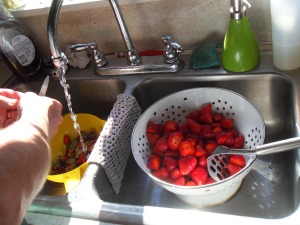 washed, topped berries